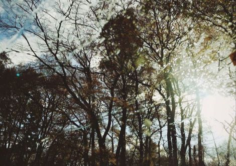 12593753_345972475526987_160624393207403180_o